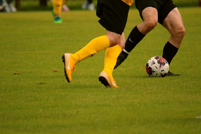 其对于整支 其对于整支