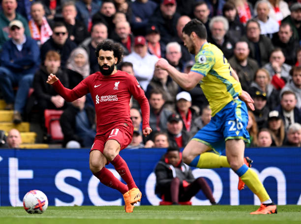 张伟丽会加 张伟丽会加